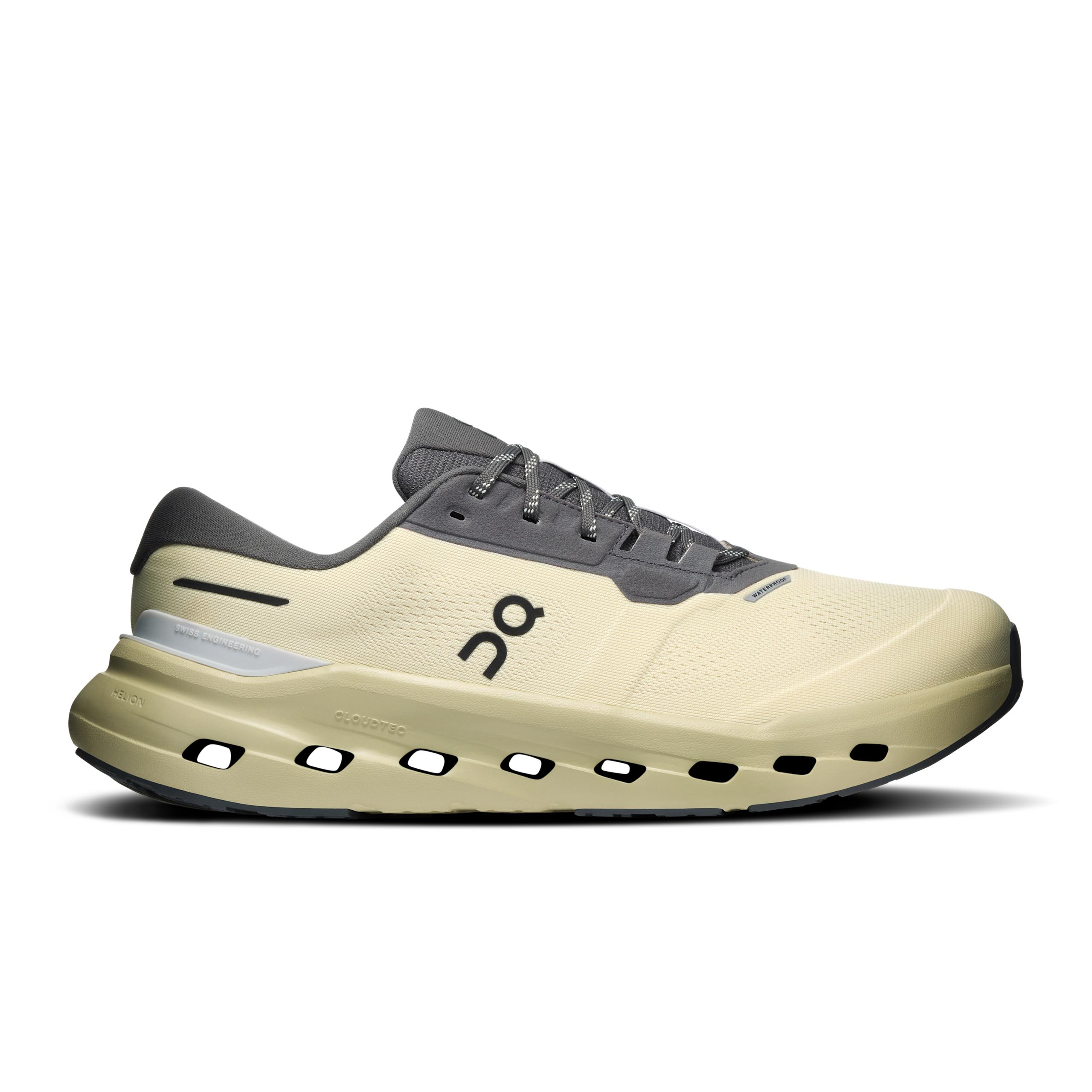 Cloudrunner 3 Waterproof Pollen | Haze