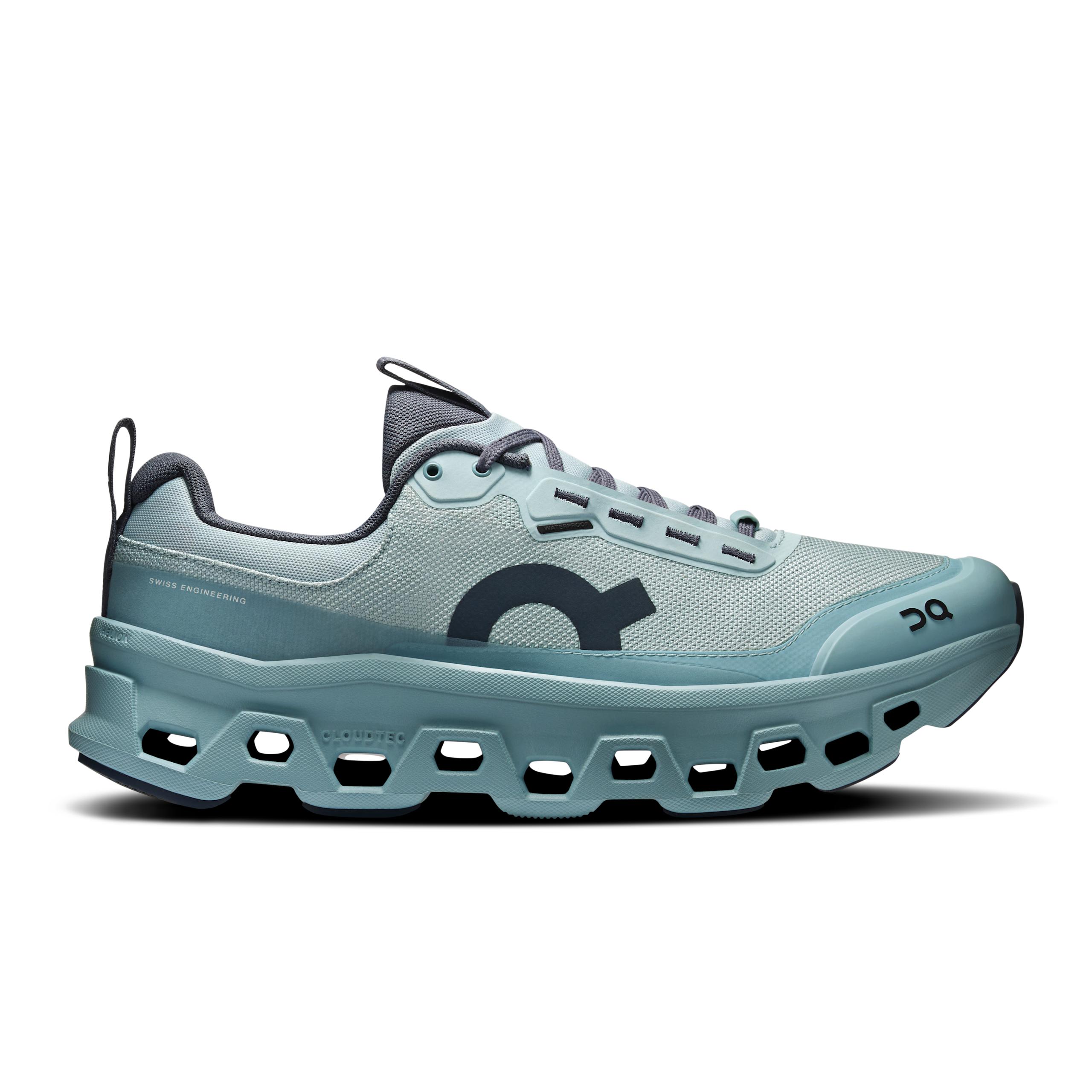 Cloudmonster 1 Waterproof Brook | Wash
